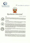 Vista preliminar de documento RD N° 165-07-2022-DE-HCLLH-MINSA