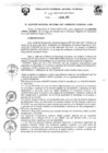 Vista preliminar de documento R.G.G.R. Nro. 299-2023-GGR-GR PUNO