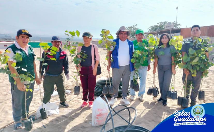 𝗘𝗠𝗕𝗘𝗟𝗟𝗘𝗖𝗜𝗠𝗜𝗘𝗡𝗧𝗢 𝗗𝗘 𝗡𝗨𝗘𝗦𝗧𝗥𝗢 𝗗𝗜𝗦𝗧𝗥𝗜𝗧𝗢 𝗠𝗘𝗗𝗜𝗔𝗡𝗧𝗘 𝗘𝗟 𝗦𝗘𝗠𝗕𝗥𝗔𝗗𝗢 𝗗𝗘 𝗠𝗘𝗜𝗝𝗢𝗦 𝗘𝗡 𝗟𝗔 𝟰𝗧𝗔 𝗘𝗧𝗔𝗣𝗔 𝗗𝗘 𝗩𝗜𝗟𝗟𝗔 𝗥𝗢𝗧𝗔𝗥𝗬 𝗡𝗨𝗘𝗩𝗔 𝗘𝗦𝗣𝗘𝗥𝗔𝗡𝗭𝗔 🌴🌲  
