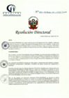 Vista preliminar de documento RD N° 207-08-2022-DE-HCLLH-MINSA