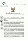 Vista preliminar de documento RD N° 208-09-2022-DE-HCLLH-MINSA