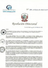 Vista preliminar de documento RD N° 230-10-2022-DE-HCLLH-MINSA