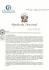 Vista preliminar de documento RD N° 232-10-2022-DE-HCLLH-MINSA