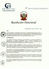 Vista preliminar de documento RD N° 234-10-2022-DE-HCLLH-MINSA
