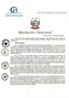 Vista preliminar de documento RD N° 245-10-2022-HCLLH-MINSA