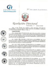 Vista preliminar de documento RD N° 246-10-2022-DE-HCLLH-MINSA