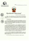 Vista preliminar de documento RD N° 250-11-2022-DE-HCLLH-MINSA