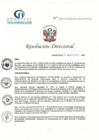 Vista preliminar de documento RD N° 251-11-2022-DE-HCLLH-MINSA