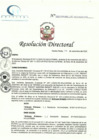 Vista preliminar de documento RD N° 253-11-2022-DE-HCLLH-MINSA