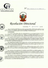 Vista preliminar de documento RD N° 257-11-2022-DE-HCLLH-MINSA