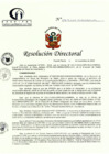 Vista preliminar de documento RD N° 258-11-2022-DE-HCLLH-MINSA