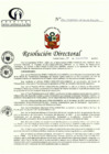 Vista preliminar de documento RD N° 260-11-2022-DE-HCLLH-MINSA
