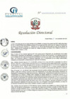 Vista preliminar de documento RD N° 263-11-2022-DE-HCLLH-MINSA