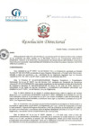Vista preliminar de documento RD N° 264-11-2022-DE-HCLLH-MINSA