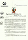 Vista preliminar de documento RD N° 266-11-2022-DE-HCLLH-MINSA