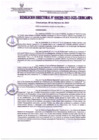 Vista preliminar de documento RD209-2023