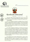 Vista preliminar de documento RD N° 276-12-2022-DE-HCLLH-MINSA