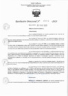 Vista preliminar de documento RJ 864-2023