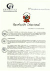 Vista preliminar de documento RD N° 294-12-2022-DE-HCLLH-MINSA