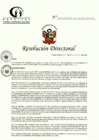 Vista preliminar de documento RD N° 295-12-2022-DE-HCLLH-MINSA