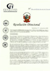 Vista preliminar de documento RD N° 296-12-2022-DE-HCLLH-MINSA