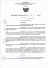 Vista preliminar de documento RJ 874-2023
