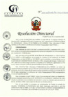 Vista preliminar de documento RD N° 302-12-2022-DE-HCLLH-MINSA