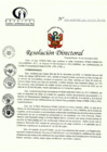 Vista preliminar de documento RD N° 305-12-2022-DE-HCLLH-MINSA