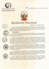 Vista preliminar de documento RD N° 306-12-2022-DE-HCLLH-MINSA