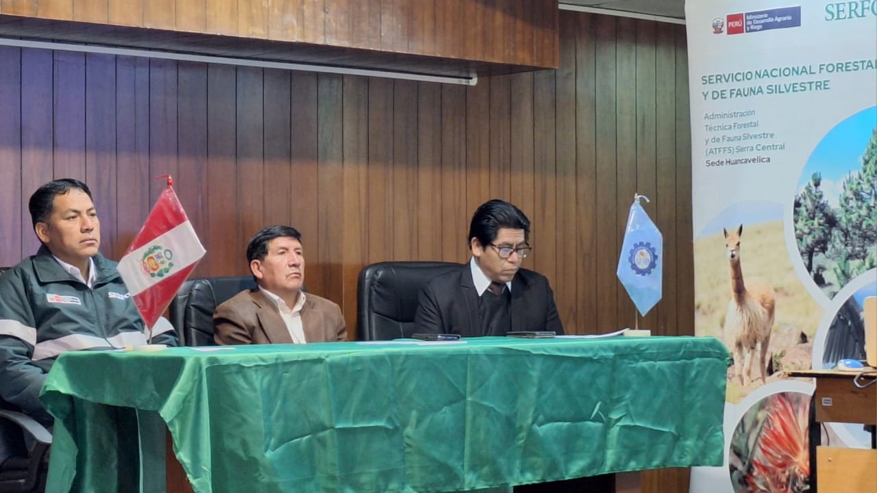huanca2
