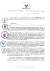 Vista preliminar de documento RES-973-2023-GR