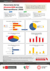 Vista preliminar de documento 33_infografia_panorama_jovenes_NINI