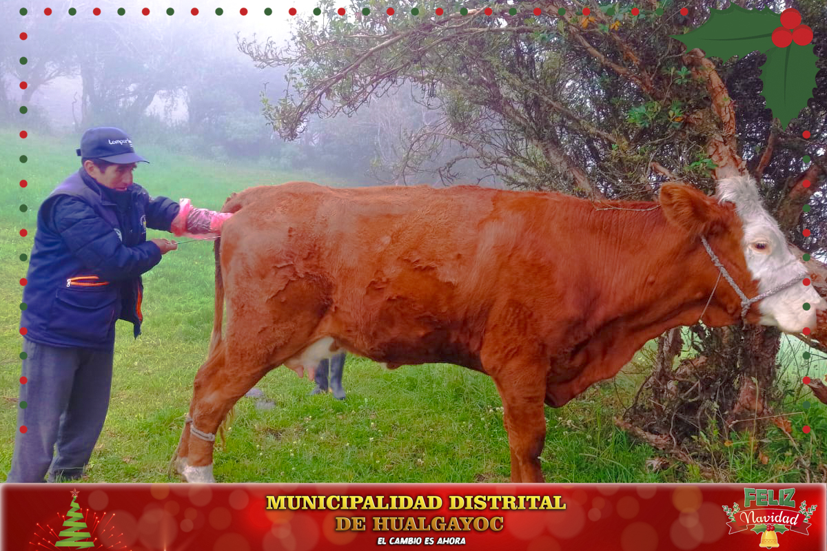 Los ganaderos de Hualgayoc