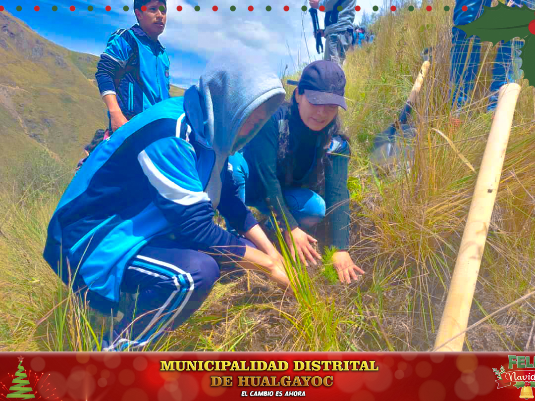 Campaรฑa de educaciรณn forestal