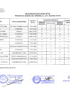 Vista preliminar de documento 13 Relación de postulantes aptos - Segunda etapa
