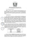 Vista preliminar de documento RDE N 271-2023
