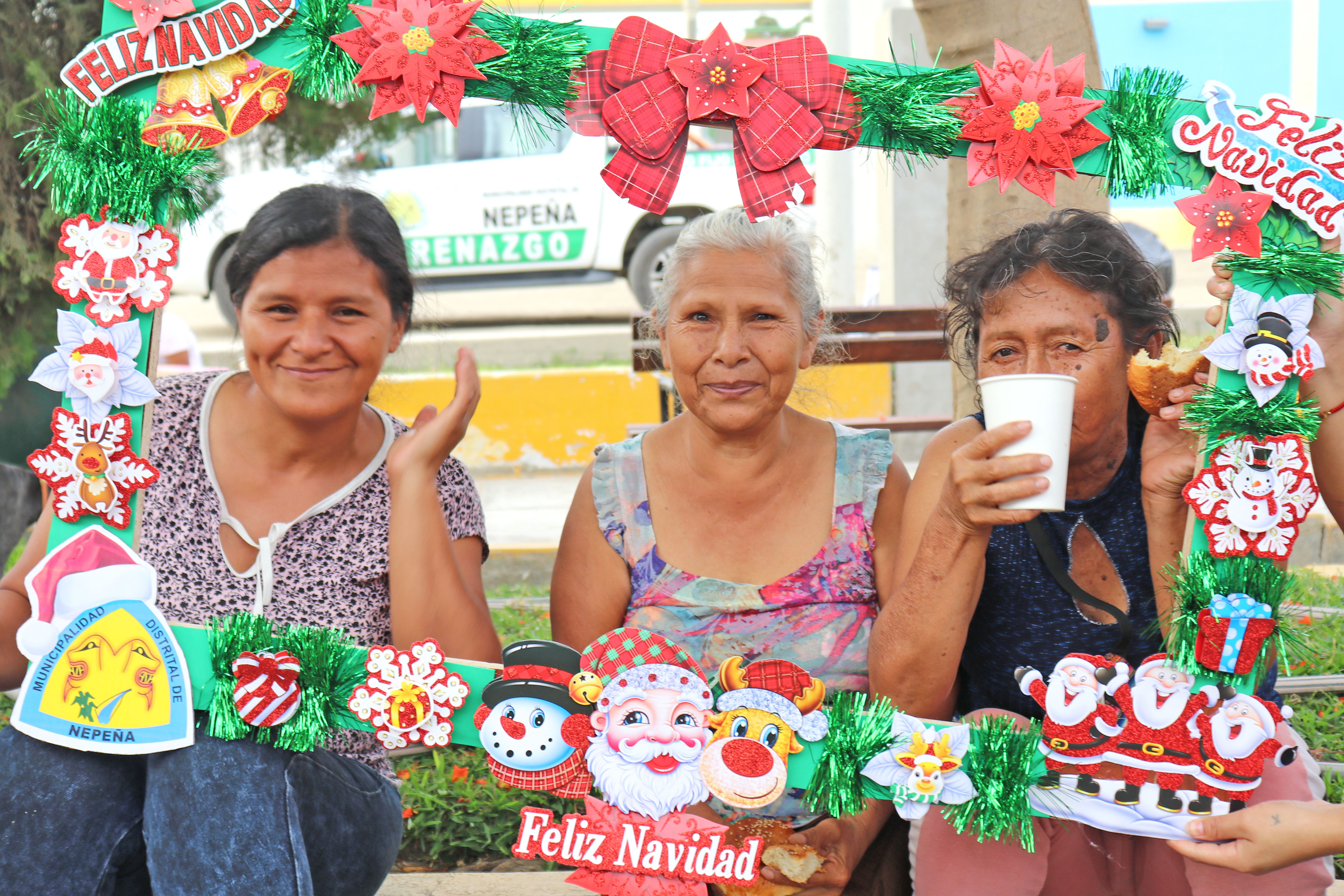 Show Navideño