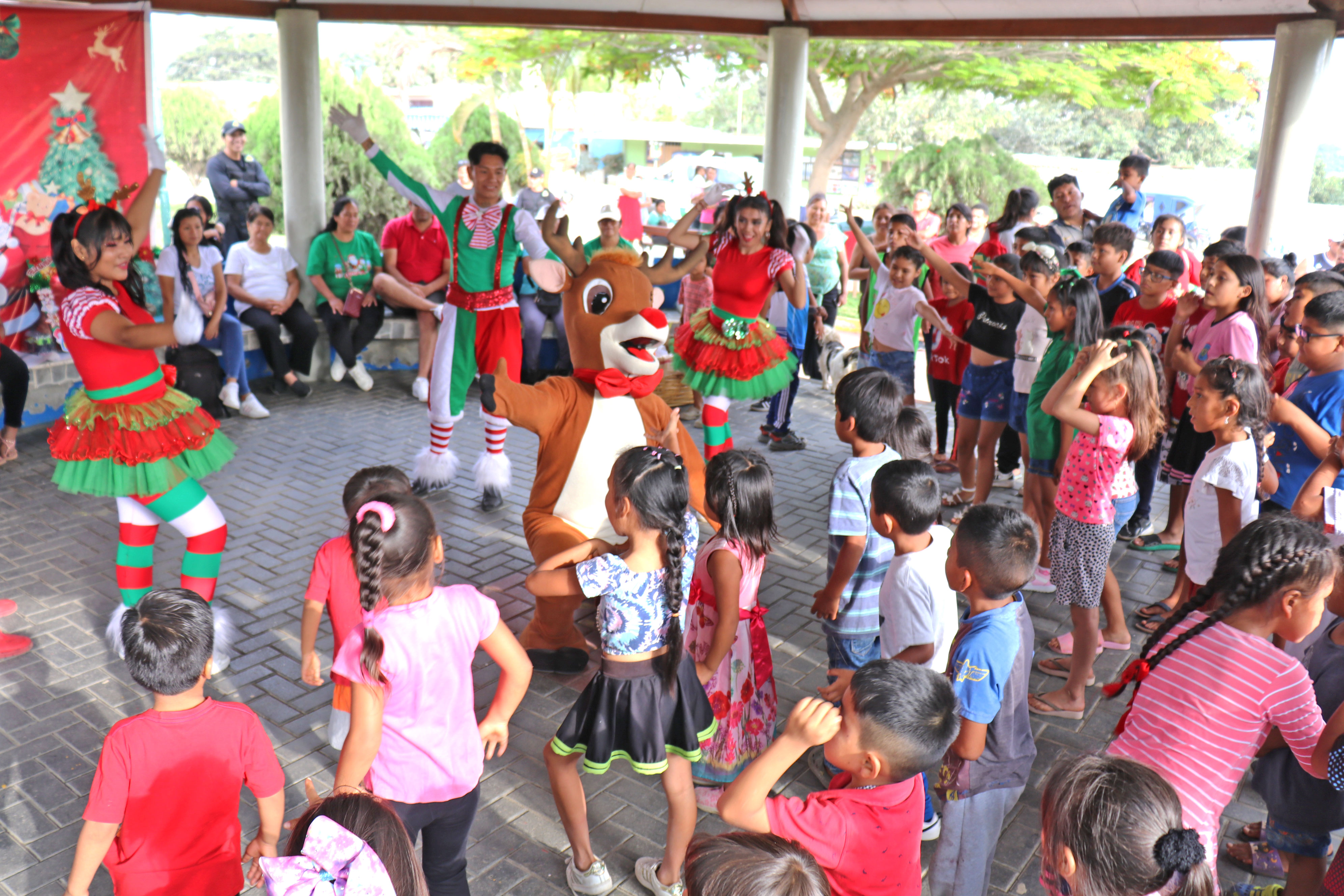 Show Navideño