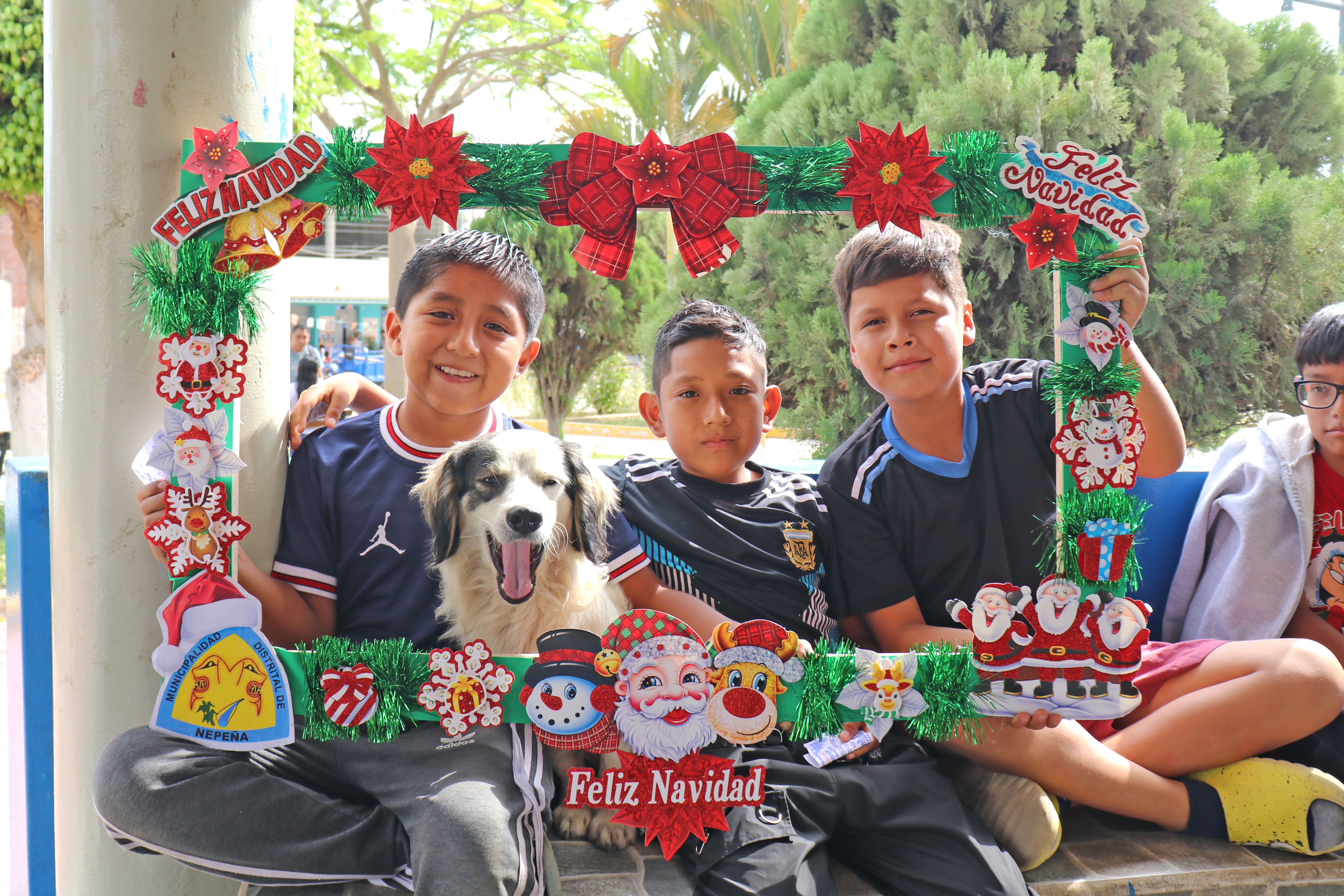 Show Navideño