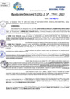 Vista preliminar de documento Resolucion Directoral N° 006557-2023