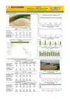 Vista preliminar de documento Boletín de abastecimiento y precio del ARROZ - 15/12/23