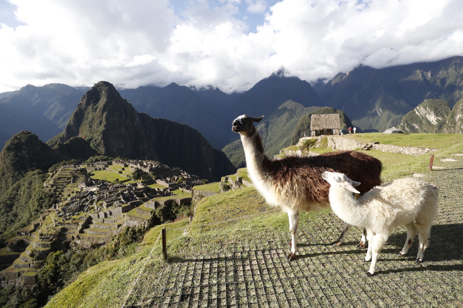 Ministerio de Cultura lanza tarifas promocionales para ingresar a la llaqta de Machupicchu