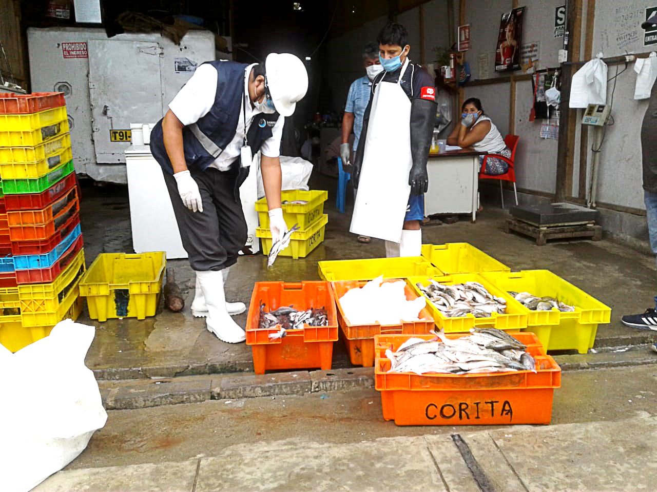 Sanipes garantiza el consumo de productos hidrobiológicos inocuos como opción en las mesas navideñas