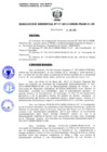 Vista preliminar de documento 232-2013-GRSM-PEAM-01.00