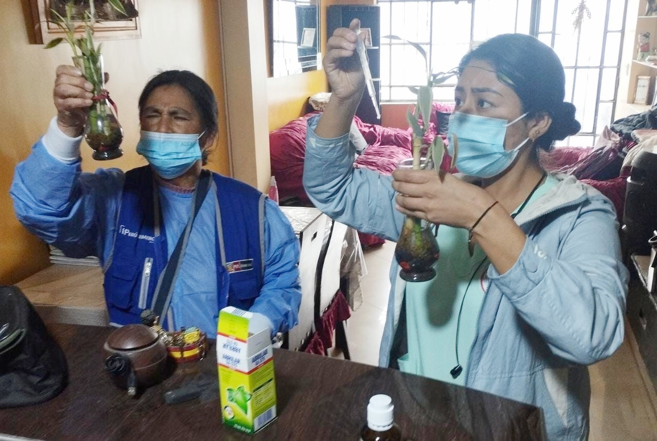 Diris Lima Sur realiza intervención de monitoreo rápido de dengue