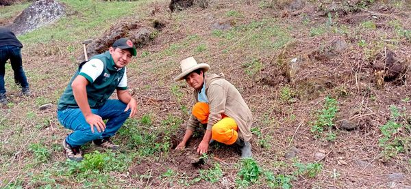 PEJEZA celebra la Semana Forestal con plantación de Tara en la provincia de San Pablo 