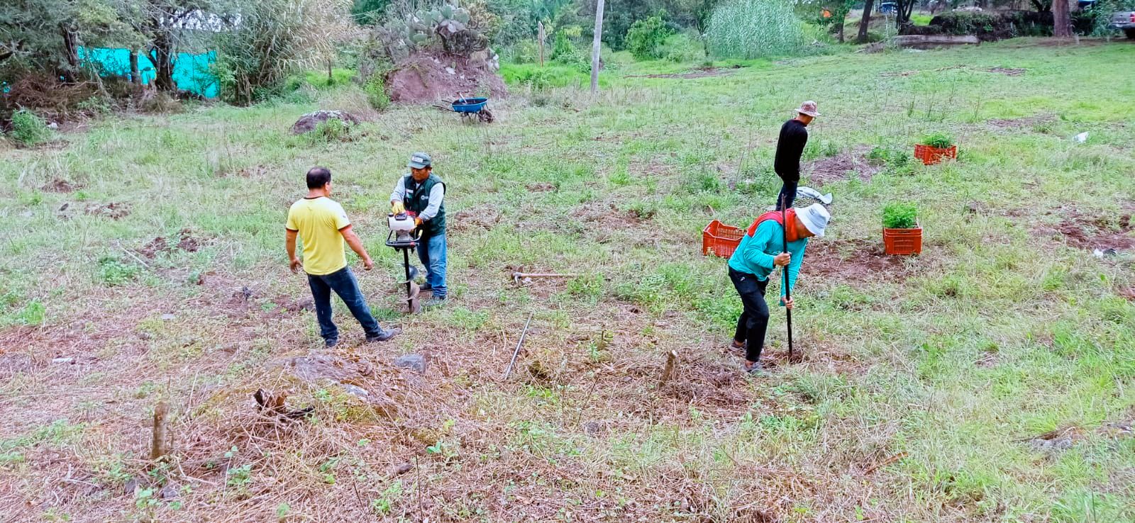 PEJEZA celebra la Semana Forestal con plantación de Tara en la provincia de San Pablo 