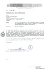 Vista preliminar de documento Oficio N°0862-2019/MINEM-DGAAE