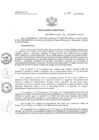 Vista preliminar de documento RD N° 411-2023-HNCH-DG