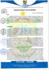 Vista preliminar de documento rgm587